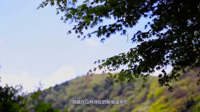 40岁B级片女星惨死,音乐大师获刑19年,他是天才还是恶魔?
