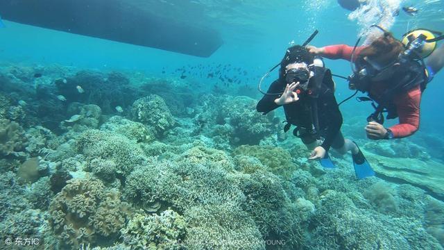 免费加入知识星球平台分享一下你在平淡的生活中怎么让自己快乐起来的?,一站式获取深度知识